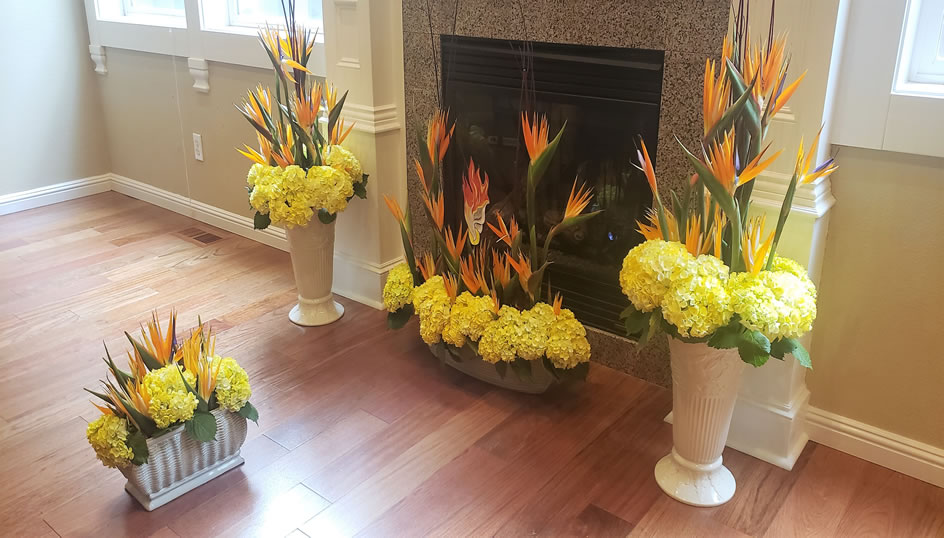 Pentecost Sunday Bird of Paradise Yellow Tinted Hydrangea Japanese Maple Dogwood Red Twig